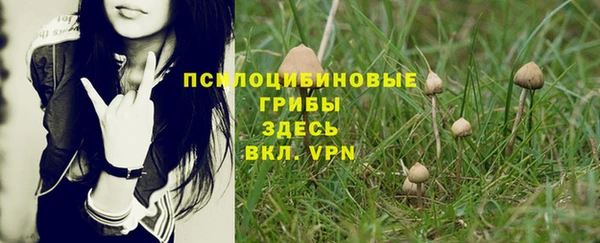 меф Богданович